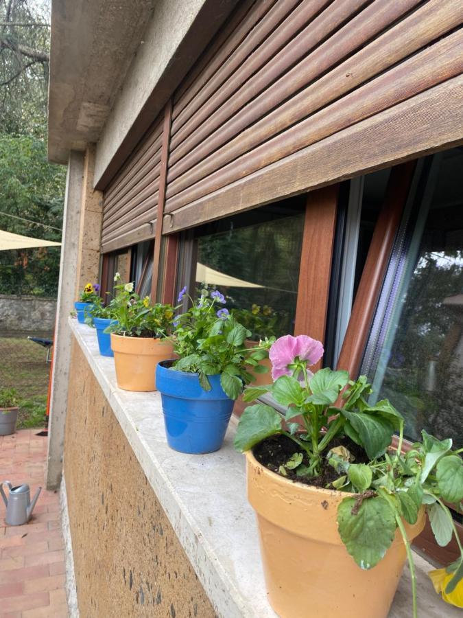 Apartmán Il Giardinetto Di Elelu' Private Garage Orvieto Exteriér fotografie